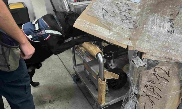 En máquina purificadora de aceite Aduanas descubre éxtasis granulado en encomienda proveniente de Europa