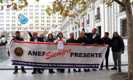 ANEF y ANFUCULTURA entregan carta dirigida al Presidente Boric exigiendo la salida de Seremi de Culturas de Magallanes
