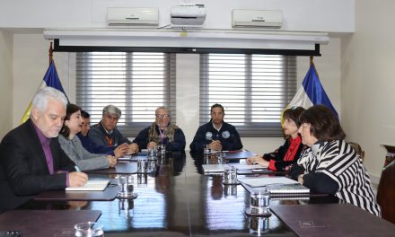 Frente de Trabajadores/as de Defensa y ANEF se reúnen con ministra de Defensa Nacional y plantean su agenda sectorial