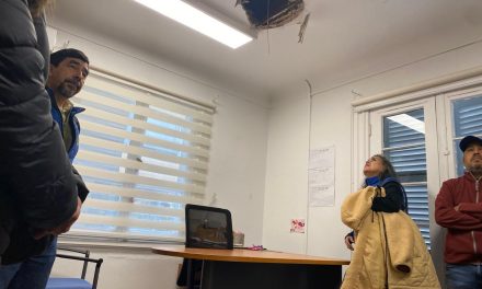 Desprendimiento de techumbre, plagas y problemas eléctricos afectan la seguridad de funcionarios y usuarios