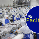 2400 afectados por cierre de PacificBlu tras fraccionamiento: acusa a subsecretario de Pesca de mentir