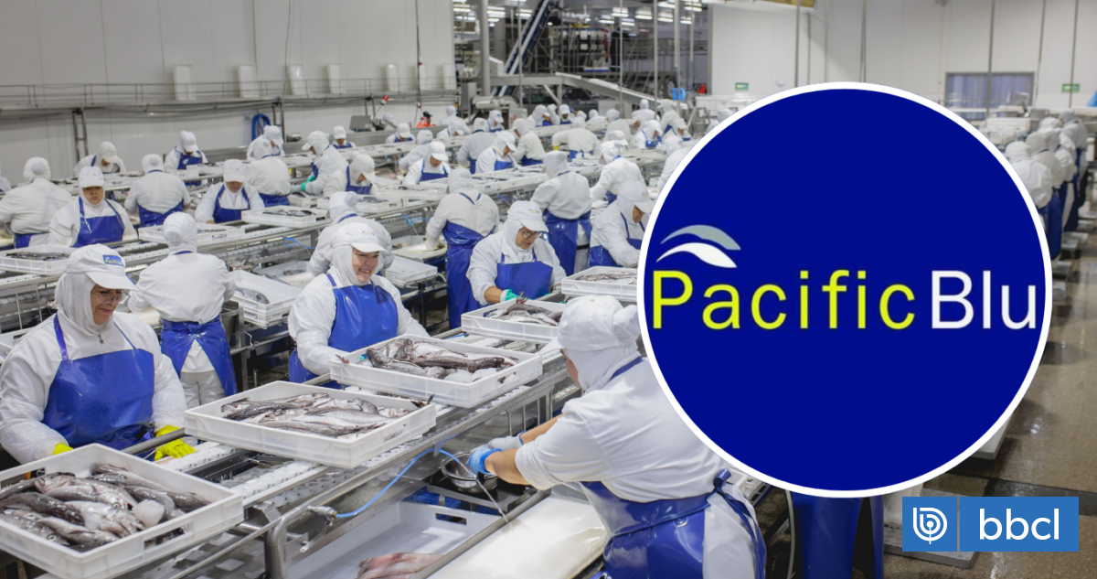 2400 afectados por cierre de PacificBlu tras fraccionamiento: acusa a subsecretario de Pesca de mentir