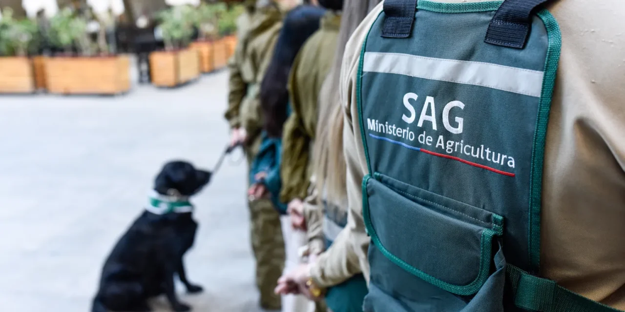 Viaje a China de 25 funcionarios del SAG despierta críticas por su financiamiento y eventual impacto en funciones del servicio