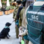 Viaje a China de 25 funcionarios del SAG despierta críticas por su financiamiento y eventual impacto en funciones del servicio