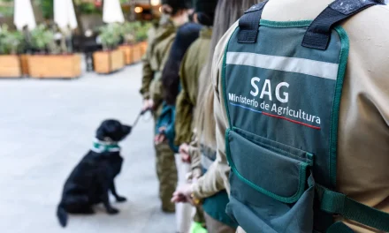 Viaje a China de 25 funcionarios del SAG despierta críticas por su financiamiento y eventual impacto en funciones del servicio