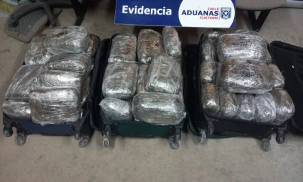 Aduana de Antofagasta detecta más de 59 kilos de marihuana en operativo del perímetro de vigilancia de La Negra