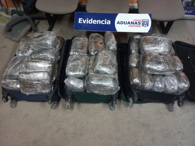 Aduana de Antofagasta detecta más de 59 kilos de marihuana en operativo del perímetro de vigilancia de La Negra
