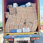Con portal escáner SAG y Aduanas descubren contrabando de 400 mil huevos en la frontera con Bolivia
