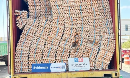 Con portal escáner SAG y Aduanas descubren contrabando de 400 mil huevos en la frontera con Bolivia