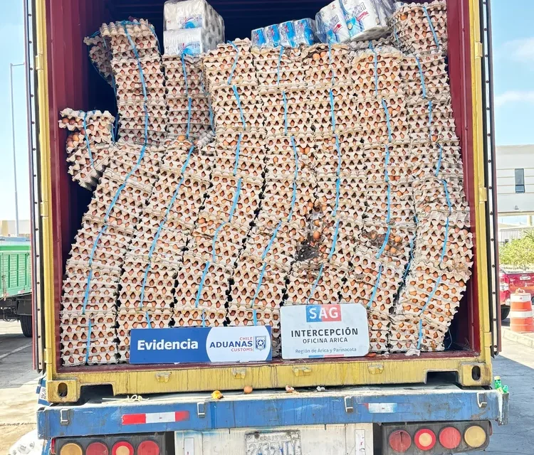 Con portal escáner SAG y Aduanas descubren contrabando de 400 mil huevos en la frontera con Bolivia