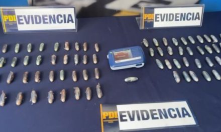 Eficaz trabajo interinstitucional entre Aduanas y PDI permite detectar tráfico de drogas en frontera