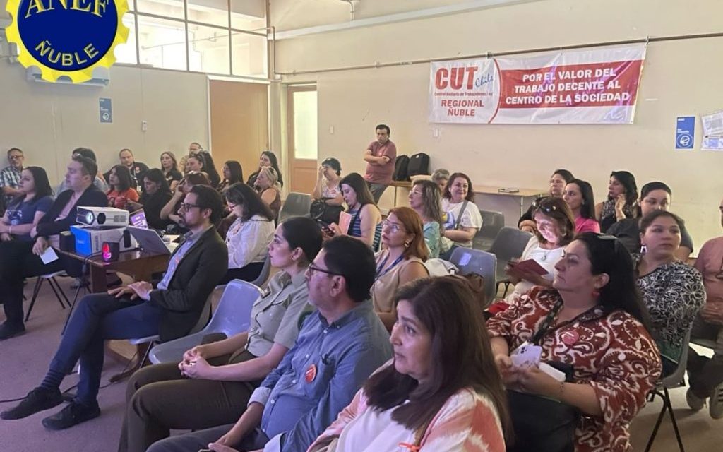 ANEF Ñuble presiona a las autoridades por falta de dotación en Servicios de la Región