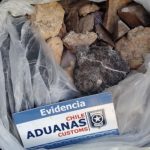 Aduana de Talcahuano incauta 18 fósiles paleontológicos en el maletero de un vehículo en el Paso Pehuenche