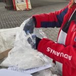 Organización Mundial de Aduanas destaca a Chile como caso de estudio