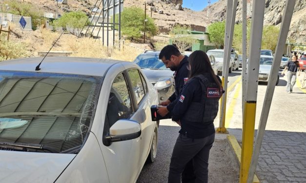 Más de 4.700 vehículos extranjeros cruzaron a Chile por el paso Agua Negra durante enero, confirmando el alto flujo estival en la Región de Coquimbo.