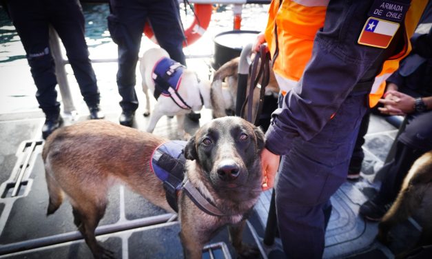 Armada suma nuevos binomios caninos formados por Aduanas e incorpora a su primera guía mujer