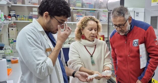 Acciones de Aduanas son destacadas como Casos de Éxito por el Índice de Innovación Pública