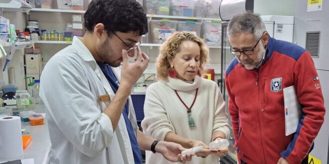 Acciones de Aduanas son destacadas como Casos de Éxito por el Índice de Innovación Pública