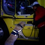 Cinco detenidos dejó operativo conjunto de Aduanas, PDI y Policía Marítima en el puerto de Valparaíso