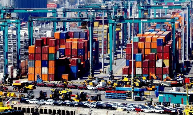Puerto de San Antonio: acusan brechas en fiscalización pese a contar con dos camiones scanner