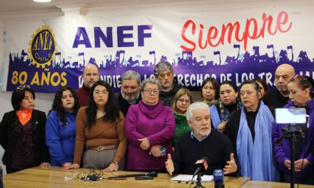 Funcionarios cuestionan comisión de expertos por empleo público: «No conocen el funcionamiento del Estado»