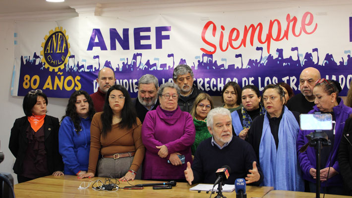 Funcionarios cuestionan comisión de expertos por empleo público: «No conocen el funcionamiento del Estado»