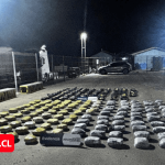 ADUANA INTERCEPTA 266 KILOS DE MARIHUANA EN MENOS DE UNA HORA TRAS DOS PROCEDIMIENTOS CONSECUTIVOS EN EL LOA: HAY UN DETENIDO